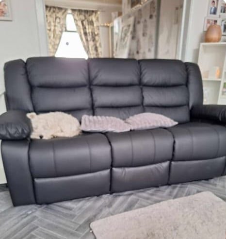 Ann's black leather 3 seater recliner, with her dog on it